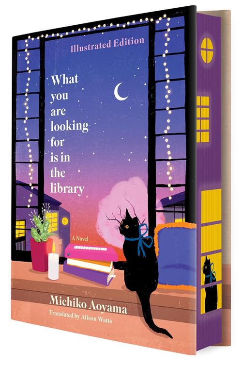 What You Are Looking For Is in the Library Illustrated Edition by Michiko Aoyama