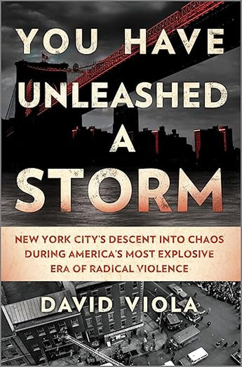 You Have Unleashed a Storm by David Viola