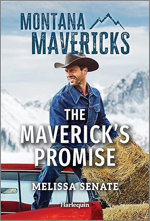 The Maverick's Promise by Melissa Senate