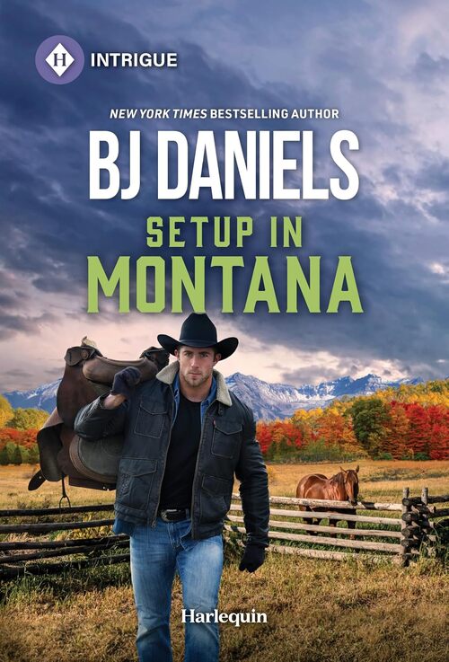Setup in Montana by B.J. Daniels