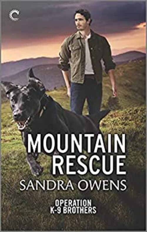 Mountain Rescue by Sandra Owens