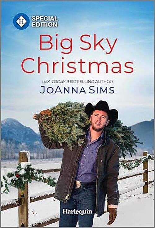 Big Sky Christmas by Joanna Sims