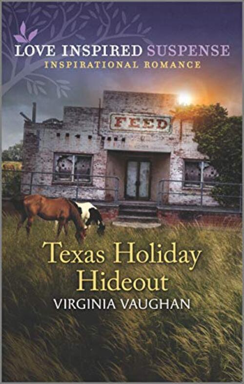 Texas Holiday Hideout by Virginia Vaughan