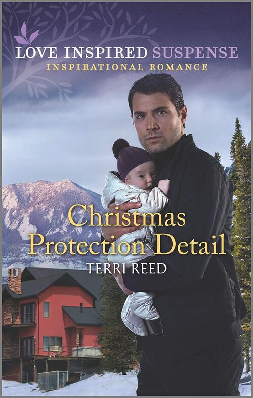 Christmas Protection Detail by Terri Reed