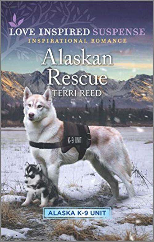 Alaskan Rescue by Terri Reed