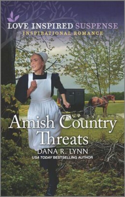 Amish Country Threats by Dana R. Lynn