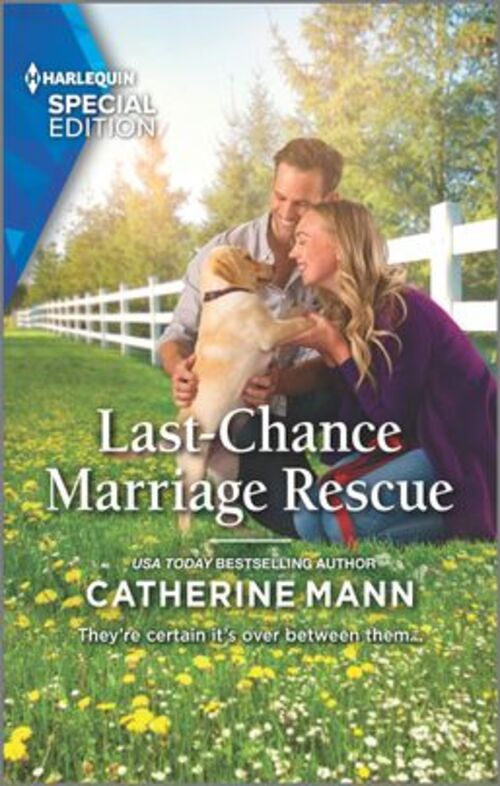 Last-Chance Marriage Rescue by Catherine Mann