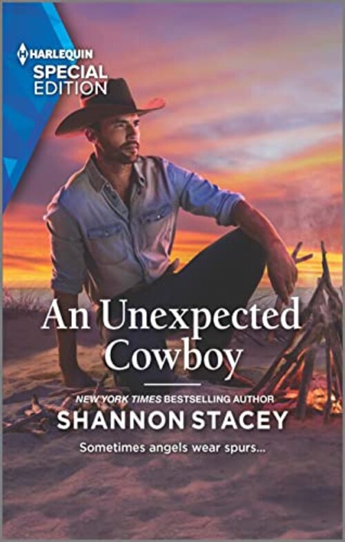 An Unexpected Cowboy by Shannon Stacey