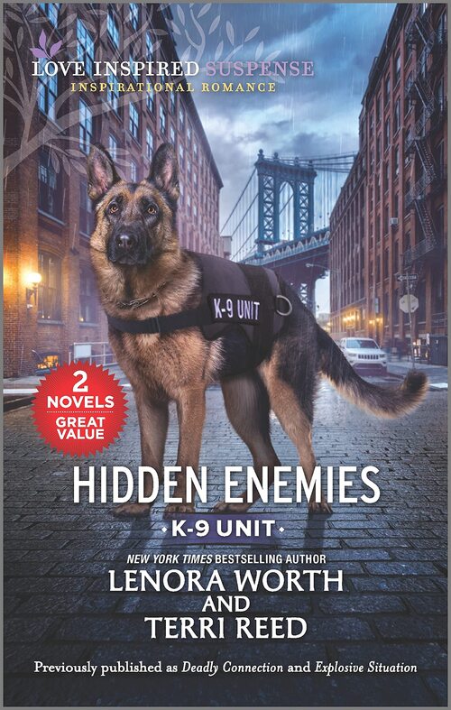Hidden Enemies by Lenora Worth