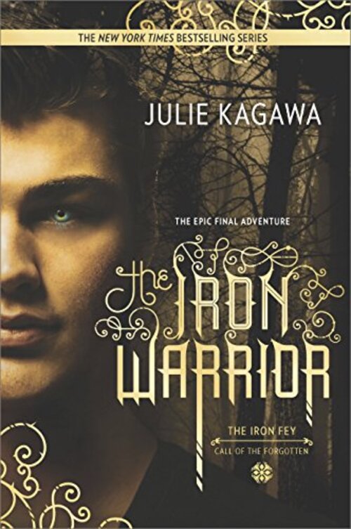 The Iron Warrior by Julie Kagawa