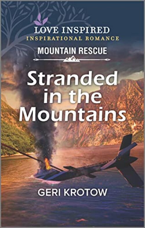 Stranded in the Mountains by Geri Krotow