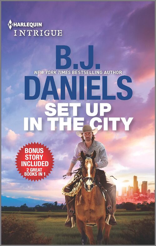 Set Up in the City by B.J. Daniels