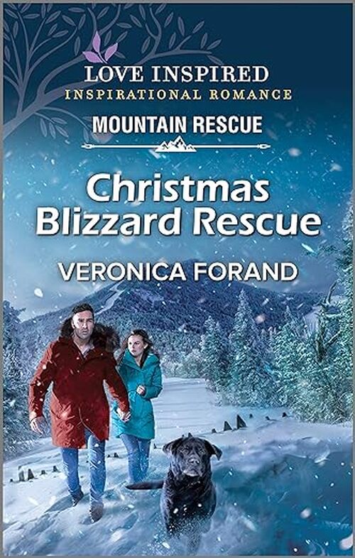 Christmas Blizzard Rescue by Veronica Forand