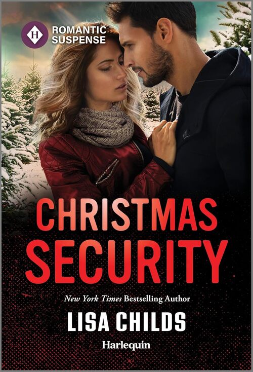 Christmas Security