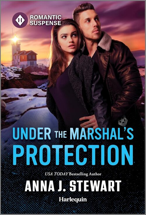Under the Marshal's Protection by Anna J. Stewart