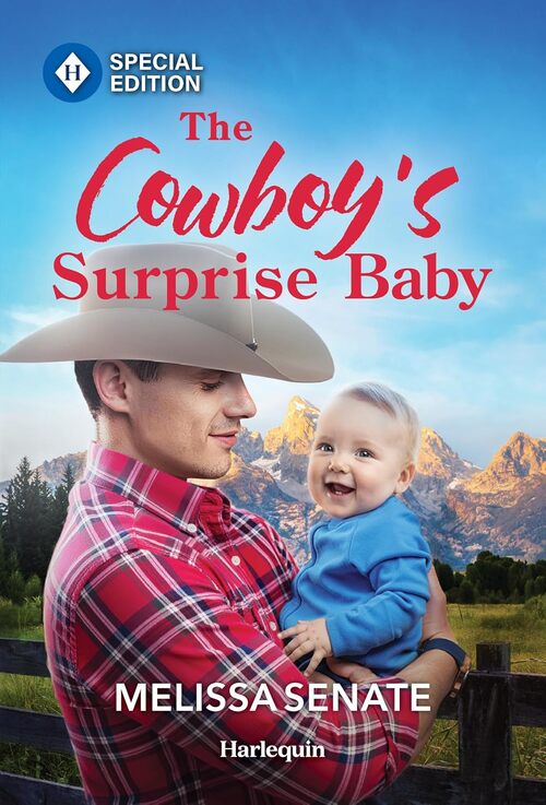 The Cowboy's Surprise Baby by Melissa Senate