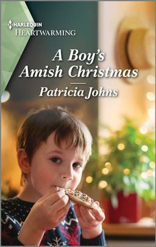 A Boy's Amish Christmas by Patricia Johns