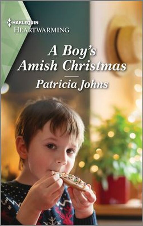 A Boy's Amish Christmas by Patricia Johns