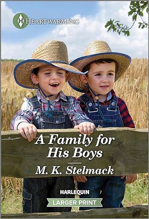 A Family for His Boys by M. K. Stelmack