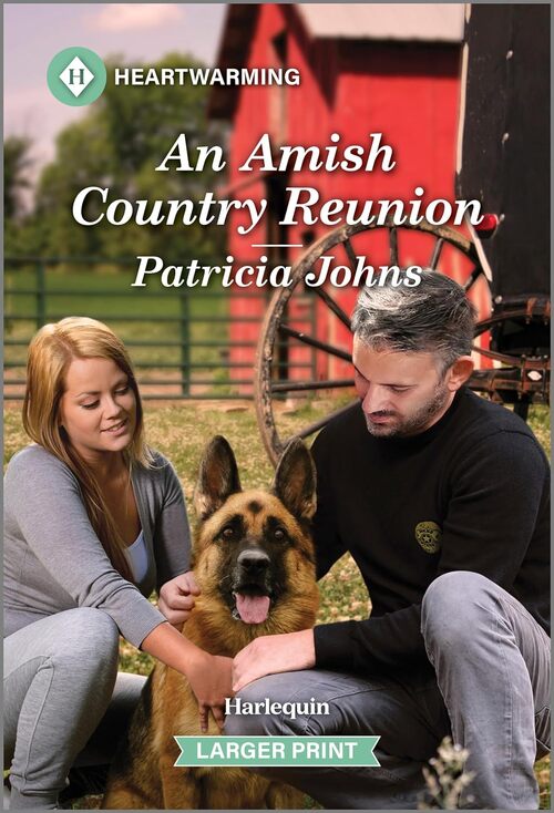 An Amish Country Reunion by Patricia Johns