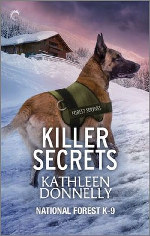 Killer Secrets by Kathleen Donnelly