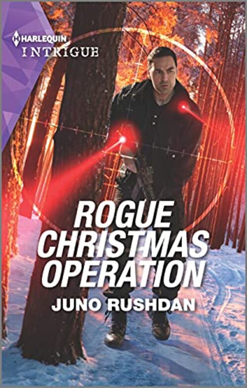 ROGUE CHRISTMAS OPERATION