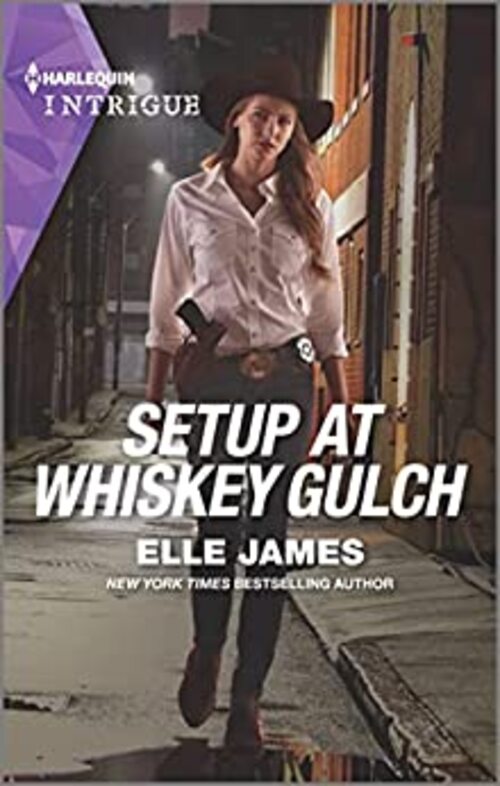 Setup at Whiskey Gulch by Elle James