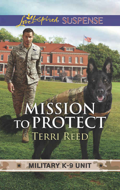Mission To Protect by Terri Reed