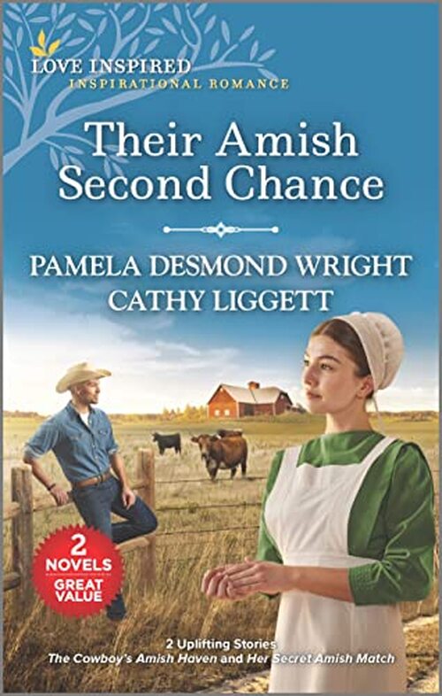 Their Amish Second Chance by Pamela Desmond Wright