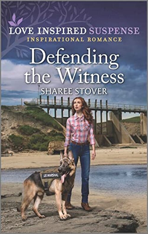 Defending the Witness by Sharee Stover