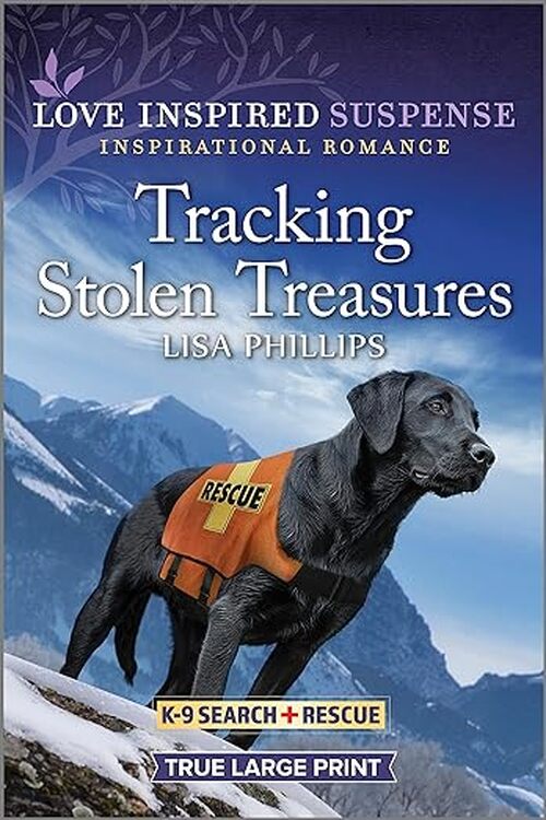 Tracking Stolen Treasures by Lisa Phillips