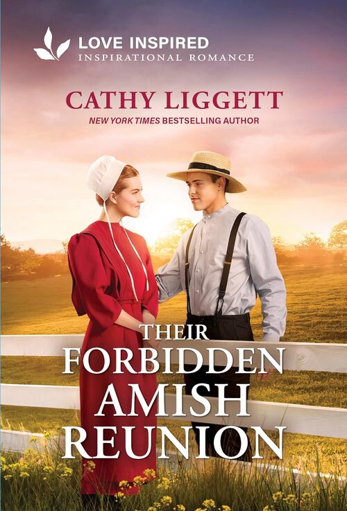 Their Forbidden Amish Reunion