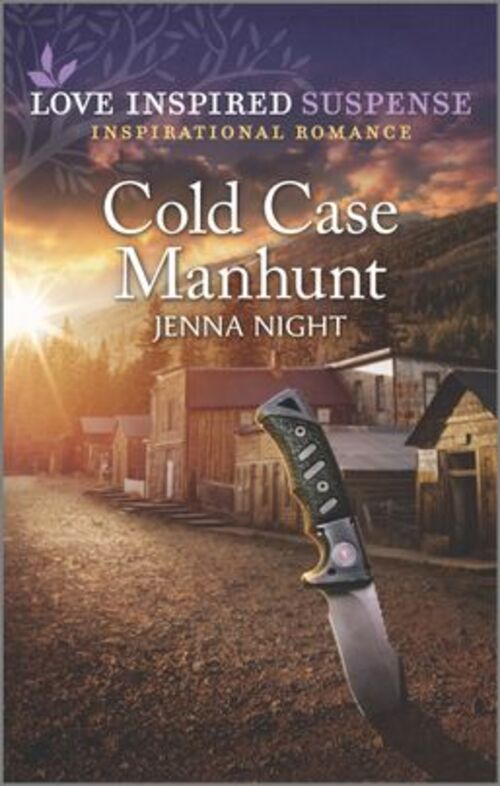 Cold Case Manhunt by Jenna Night