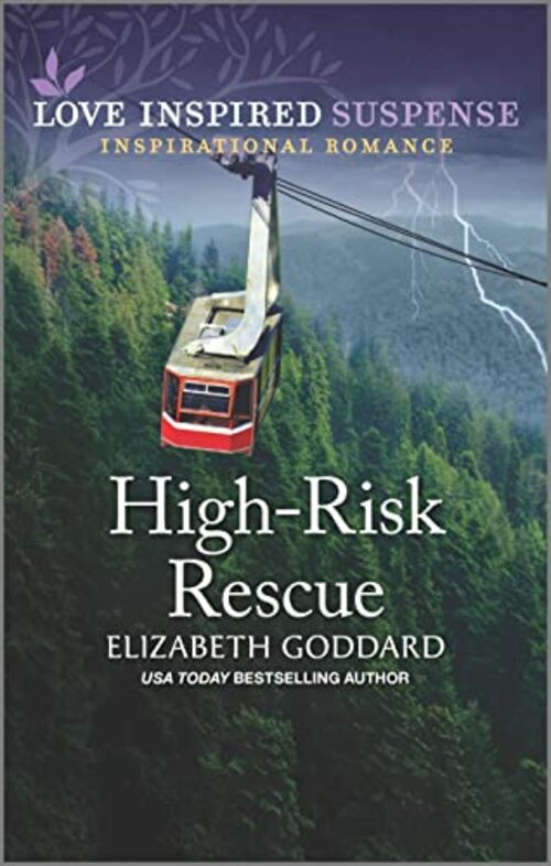 High-Risk Rescue by Elizabeth Goddard