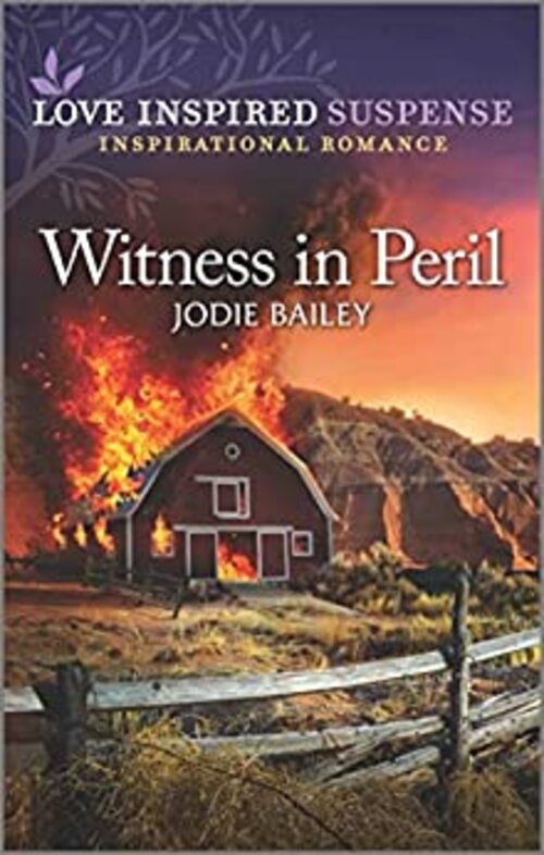 Witness in Peril by Jodie Bailey