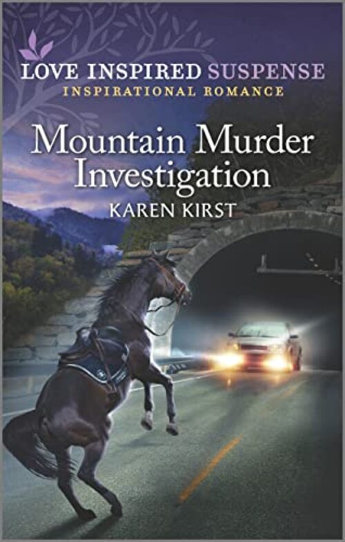 Mountain Murder Investigation by Karen Kirst