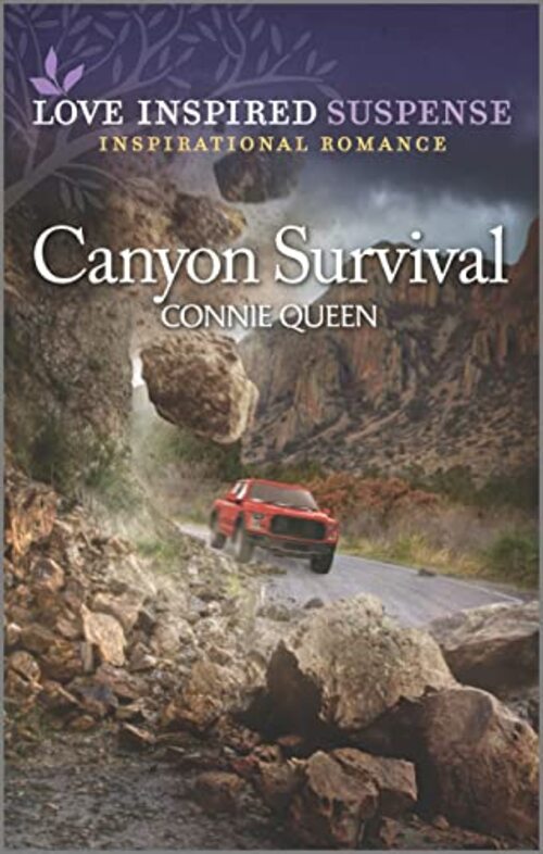 Canyon Survival by Connie Queen