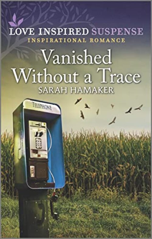 Vanished Without a Trace by Sarah Hamaker