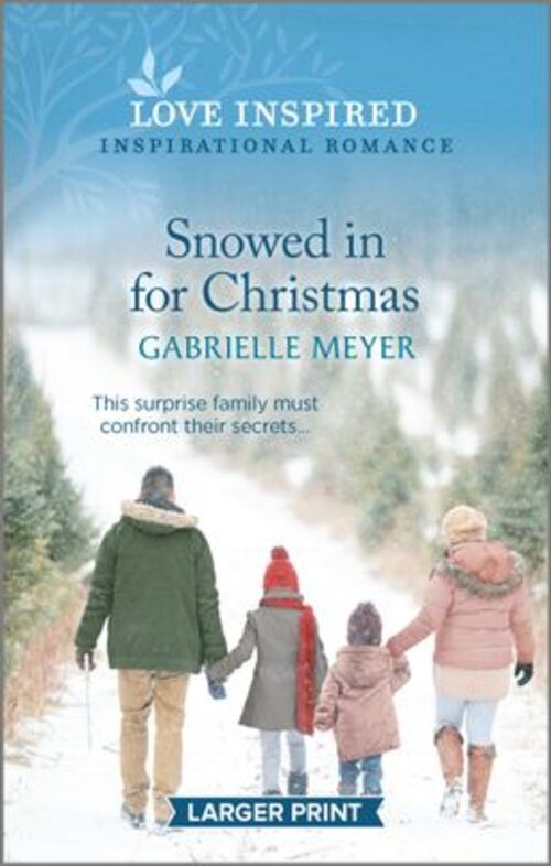 Snowed in for Christmas by Gabrielle Meyer