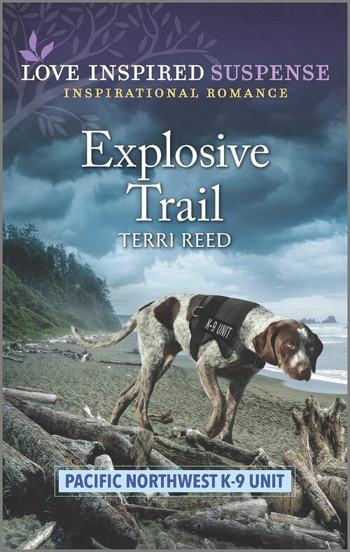 Explosive Trail by Terri Reed