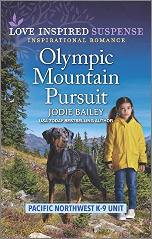 Olympic Mountain Pursuit by Jodie Bailey