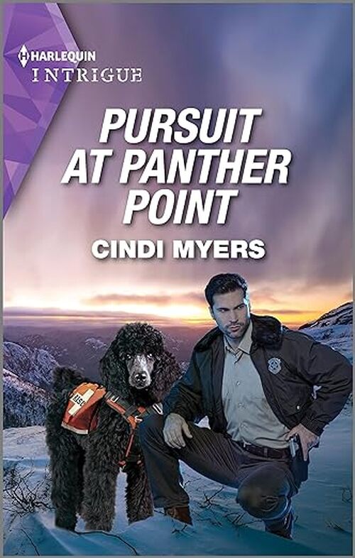 Pursuit at Panther Point by Cindi Myers
