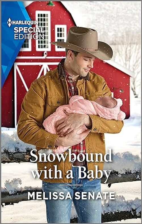 Snowbound with a Baby by Melissa Senate