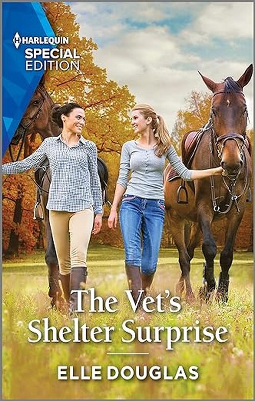 The Vet's Shelter Surprise by Elle Douglas