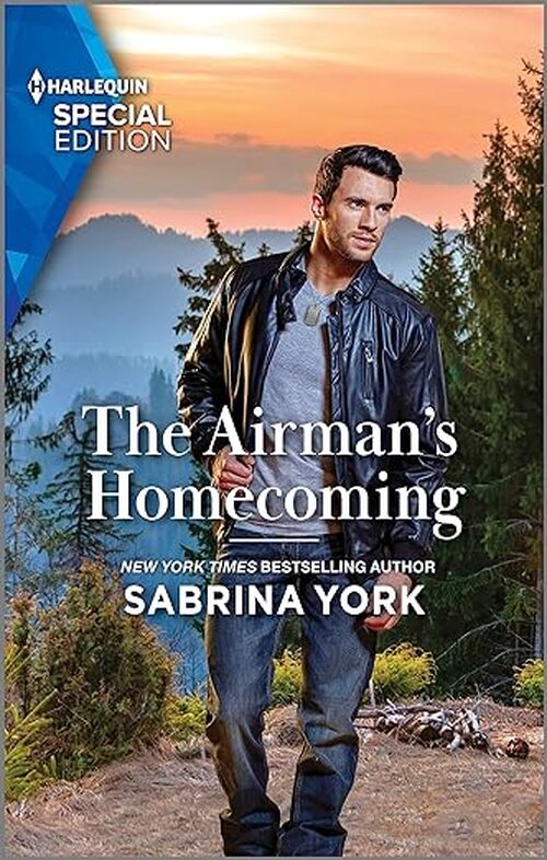 The Airman's Homecoming by Sabrina York