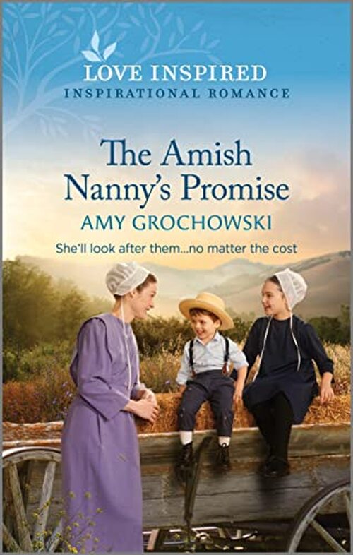 The Amish Nanny's Promise