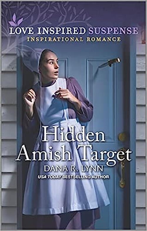 Hidden Amish Target by Dana R. Lynn