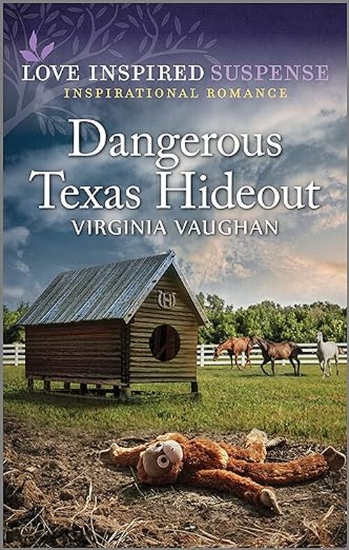 Dangerous Texas Hideout by Virginia Vaughan