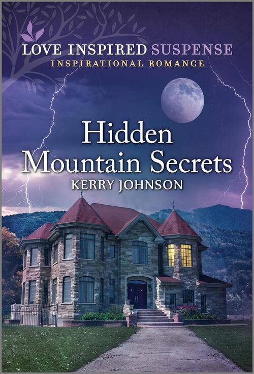 Hidden Mountain Secrets by Kerry Johnson