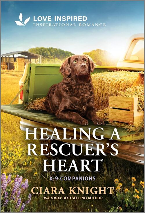 Healing a Rescuer's Heart by Ciara Knight